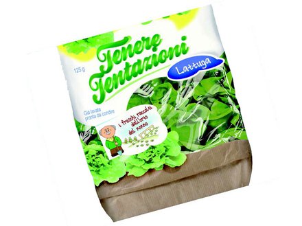 SEI laser - Flexible packaging - salade